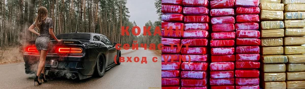 круглые Алексеевка